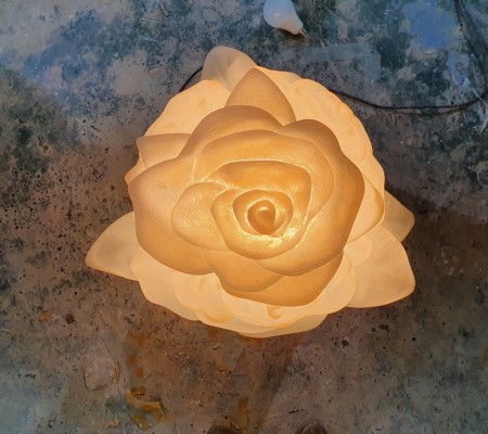 투명 장미 모형